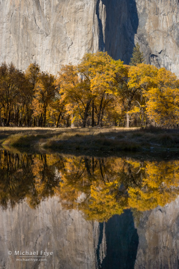 El Capitan, California black oaks, and the Merced River, 2007