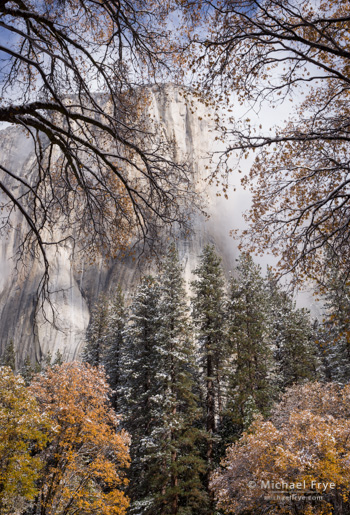 El Capitan with oaks, 10:23 a.m., Saturday