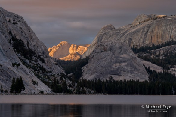 Mt. Conness from Tenaya Lake at sunset, Yosemite NP, CA, USA