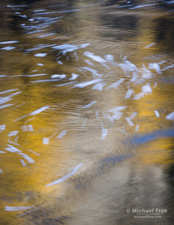 Foam and reflections in the Merced River