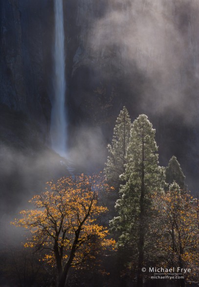Trees and mist underneath Bridalveil Fall, Yosemite NP, CA, USA