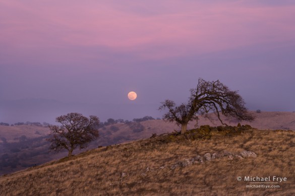 Moonrise, Sierra foothills, Mariposa Country, CA, USA Moonrise, Sierra foothills, Mariposa Country, CA, USA