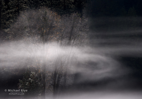 Swirling mist, El Capitan Meadow, Yosemite NP, CA, USA