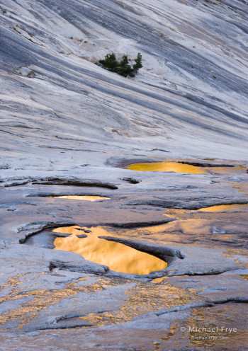 Pools in glacially polished granite, Yosemite NP. Sunlight hitting the ridge above reflected gold colors into the pools below. When setting the white balance, I left a hint of blue in the rocks to create a warm-cool color contrast. 