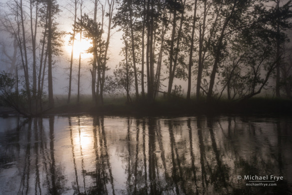 Foggy sunrise along the Merced River, Yosemite NP, CA, USA