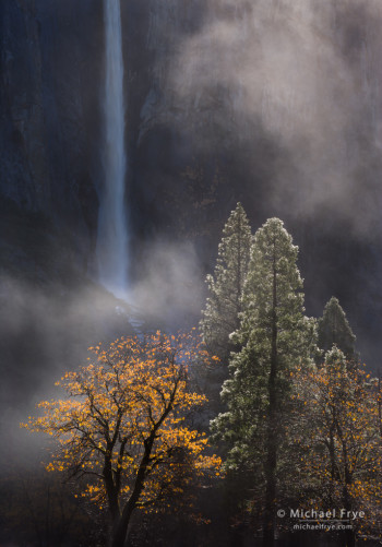 Trees and Mist Underneath Bridalveil Fall, Yosemite National Park, California