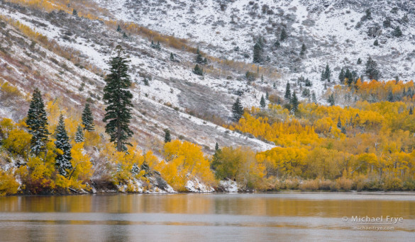 Autumn color along the shore of Convict Lake, Inyo NF, CA, USA