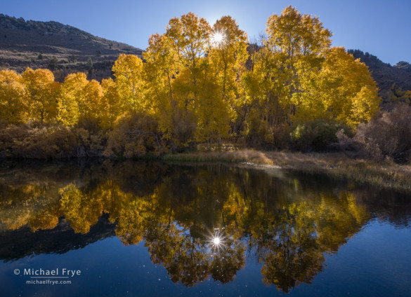 Photographing Sunbursts: Aspens and morning sunlight along Rush Creek, Inyo NF, CA, USA
