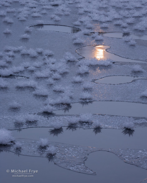 Moon reflected in the Merced River with ice and frost, Yosemite NP, CA, USA