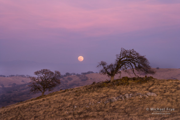 Moonrise, Sierra foothills, Mariposa Country, CA, USA