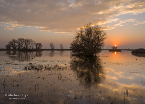 Sunset over marshes in the San Joaquin Valley, CA, USA