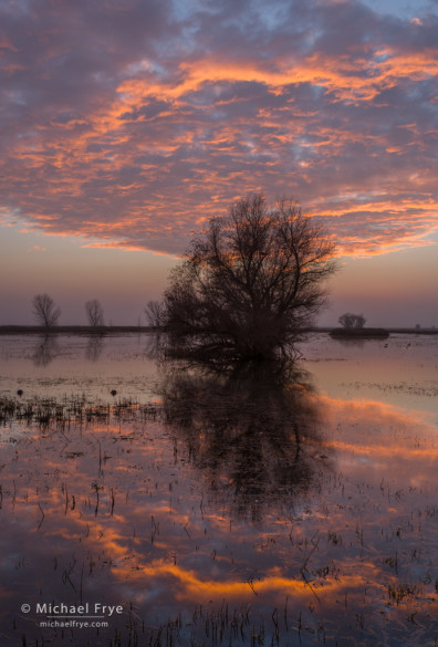 Sunset over marshes in the San Joaquin Valley, CA, USA