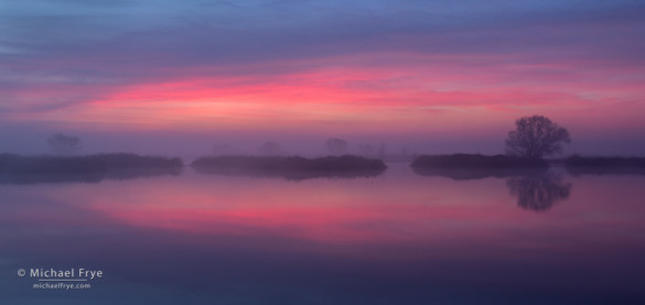 Foggy sunrise, San Joaquin Valley, CA, USA