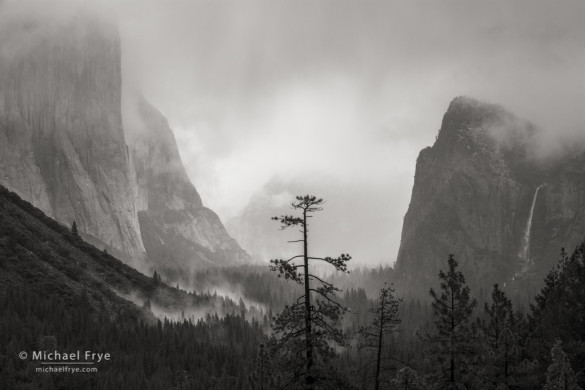 El Capitan and Bridalveil Fall from Tunnel View, Yosemite NP, CA, USA