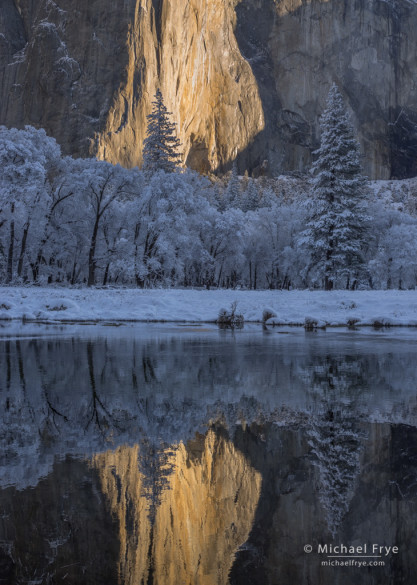 El Capitan reflected in the Merced River, Yosemite NP, CA, USA