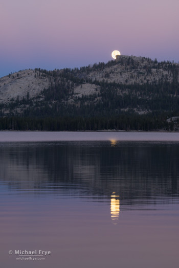 Moon setting over Tenaya Lake, Yosemite NP, CA, USA