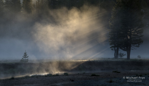 Fog and sunbeams, Tuolumne Meadows, Yosemite NP, CA, USA