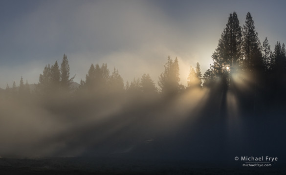 Sun breaking through fog, Tuolumne Meadows, Yosemite NP, CA, USA