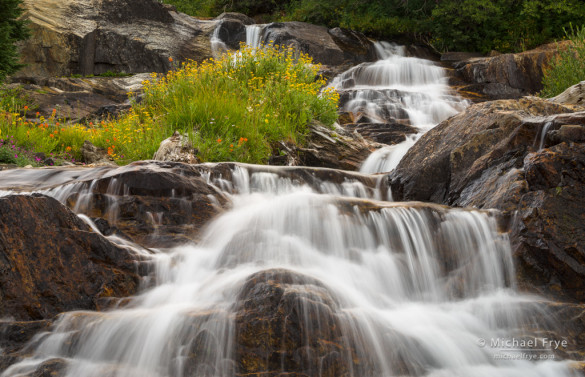 Wildflowers island and cascade, eastern Sierra, CA, USA