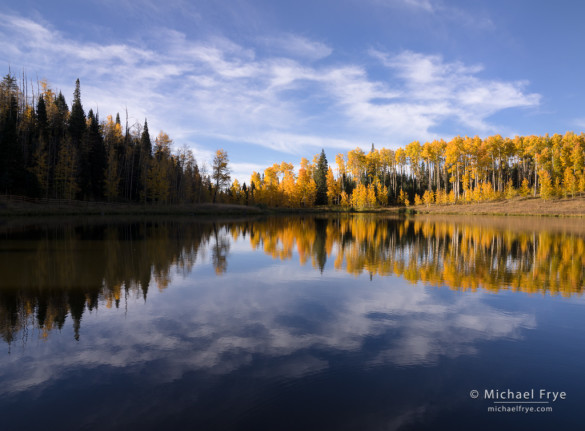 Aspen-lined lake, Uncompahgre NF, CO, USA