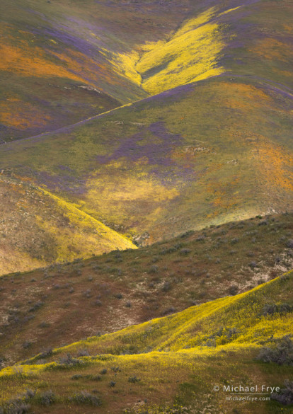 Painted hills in the Temblor Range, CA, USA