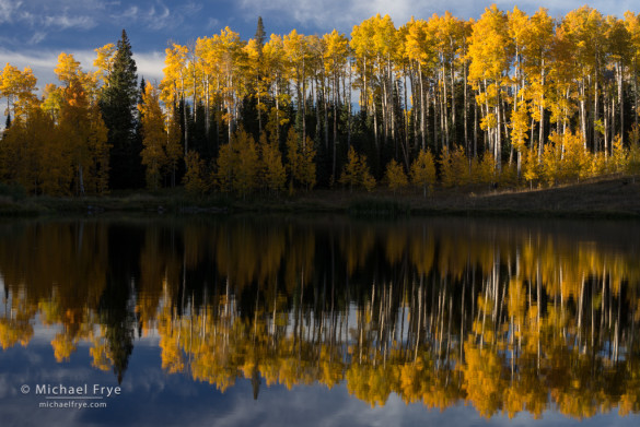 Aspens reflected in a mountain lake, Uncompahgre NF, CO, USA