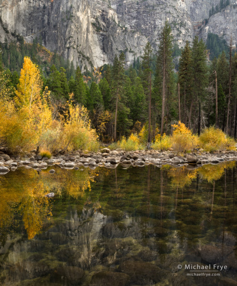 Cliffs, cottonwoods, and the Merced River, Yosemite