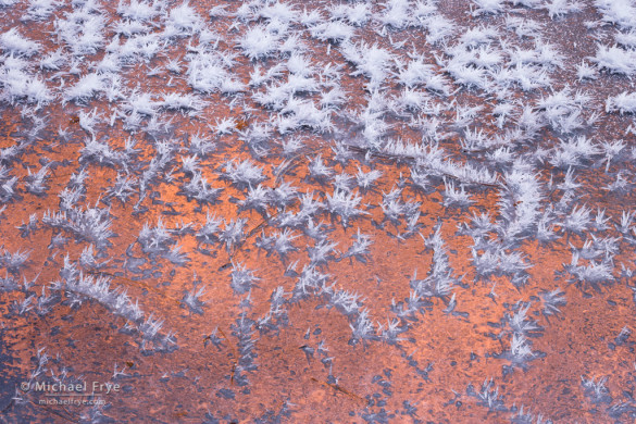 Hoar frost crystals on ice, Merced River, Yosemite NP, CA, USA