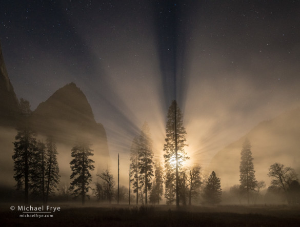 Moon setting on a misty night, El Capitan Meadow, Yosemite NP, CA, USA