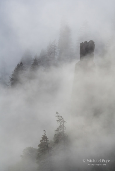 Trees and granite pinnacle in fog, Yosemite NP, CA, USA