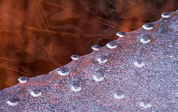 Ice bubbles and reflections along the Merced River, Yosemite NP, CA, USA