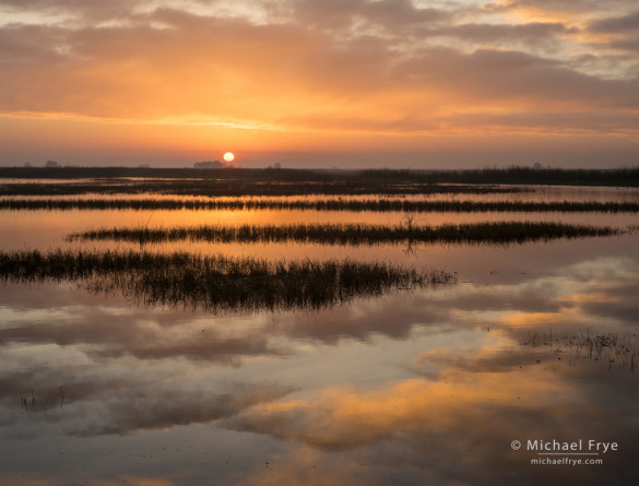 Sunrise in a San Joaquin Valley marsh, CA, USA