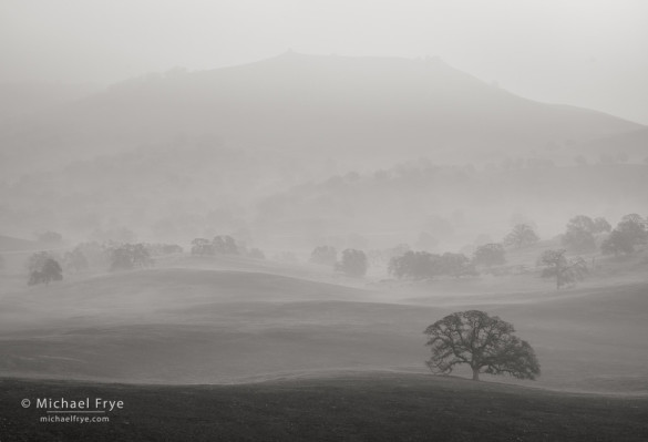 Fogscape, Sierra Nevada foothills, Mariposa Country, CA, USA