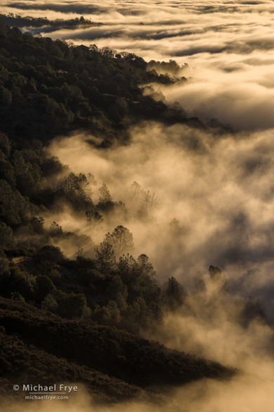 Fog along the slopes of Mt. Bullion, Mariposa County, CA, USA