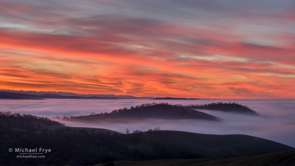 Sunrise above a fog layer, Sierra Nevada foothills, Mariposa County, CA, USA