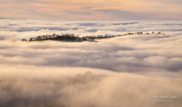 Hilltops poking through a fog layer, Sierra Nevada foothills, Mariposa County, CA, USA