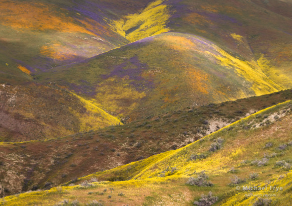 Painted hills in the Temblor Range, CA, USA