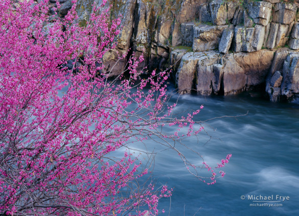 Redbud, rocks, and the Merced River, Stanislaus NF, CA, USA