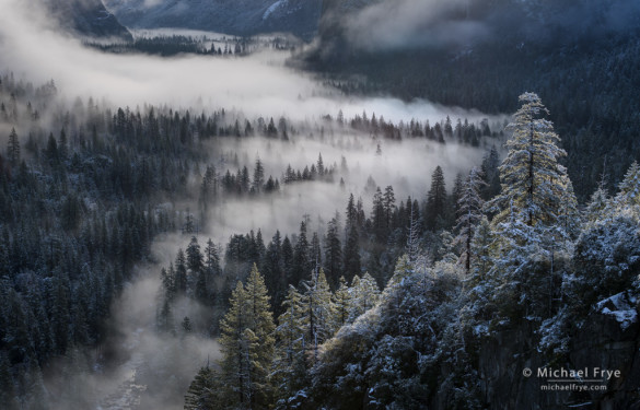 Trees and mist from Tunnel View, Yosemite NP, CA, USA