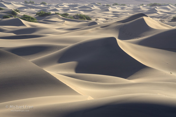 Waves of sand