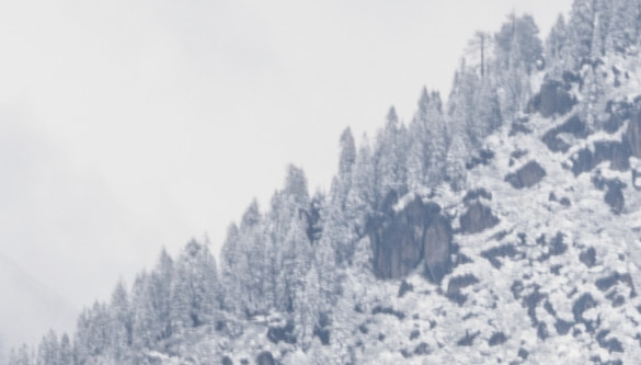 This closeup of a scene from Tunnel View shows what happens when you accidentally leave image stabilization on when using a tripod. The focal length was 200mm, and the shutter speed 1/15th of a second.