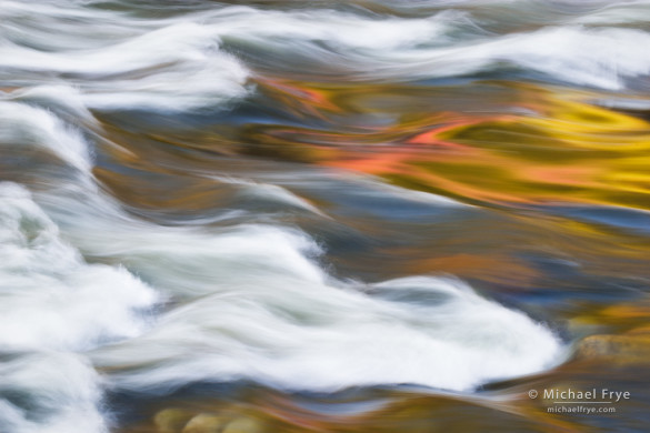 Redbud reflection in the Merced River, Mariposa County, CA, USA