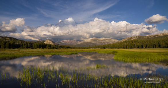 Clouds and peaks reflected in a pond in Tuolumne Meadows, Yosemite NP, CA, USA