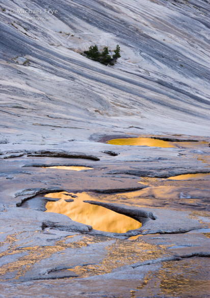 Pools in glacially polished granite, high country, Yosemite NP, CA, USA