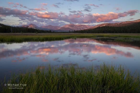 Sunset clouds reflected in a pond, Tuolumne Meadows, Yosemite NP, CA, USA