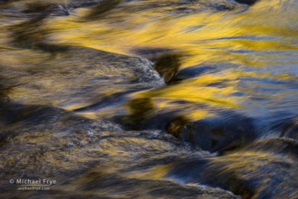Autumn aspens reflected in a creek, Inyo NF, CA, USA