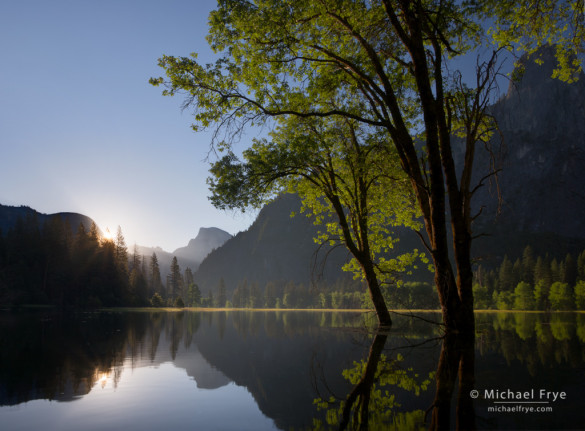 Half Dome, oaks, and high water, June 16th, 2011, Yosemite NP, CA, USA