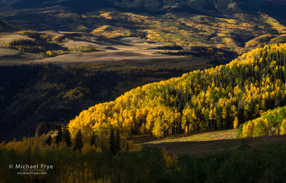 Aspen-covered hillsides, Uncompahgre NF, CO, USA