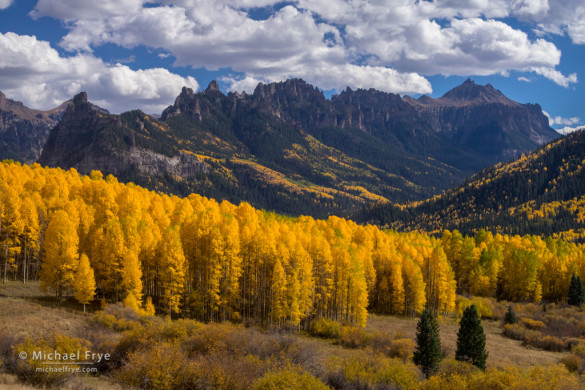 Aspens and Turret Ridge, Uncompahgre NF, CO, USA