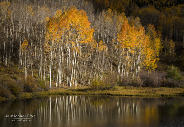 Aspens and pond, San Juan Mountains, CO, USA